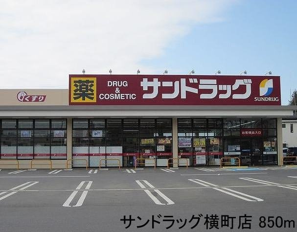 エルリオⅡ　Ｄの周辺|サンドラッグ横町店まで850m