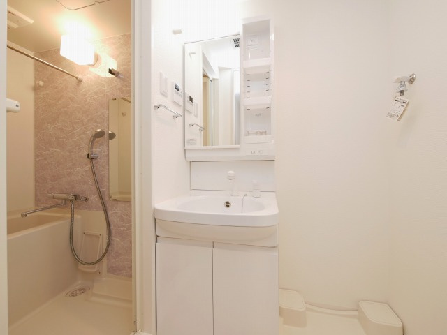 S-RESIDENCE南堀江の独立洗面台
