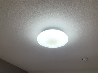 【その他】 | カーサリベルタ
