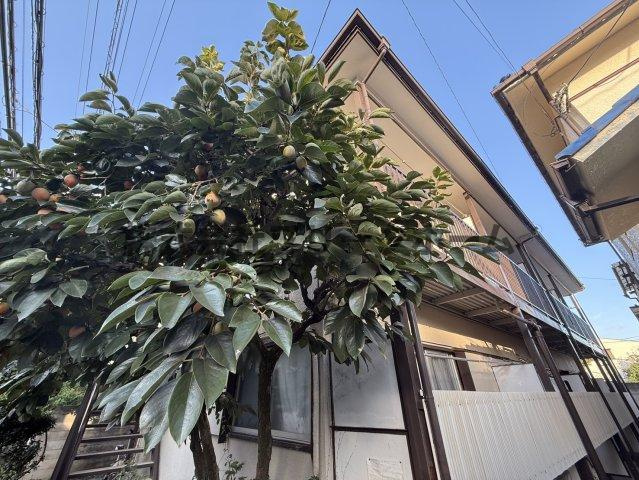 コーポ久納の外観