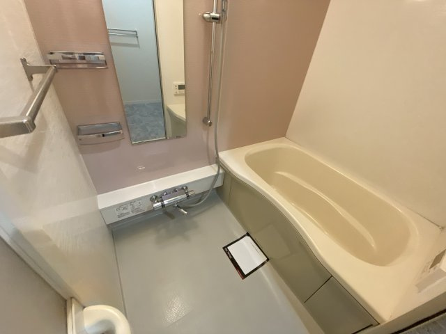 ヴィラーチェ東山の浴室