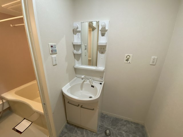 ヴィラーチェ東山の洗面所