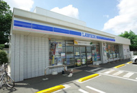 ローソン小平たかの台店まで196m