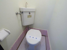 【参考写真】