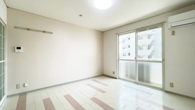 セザール昭和のその他