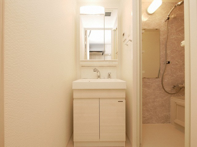 S-RESIDENCE堺筋本町Unoの洗面所