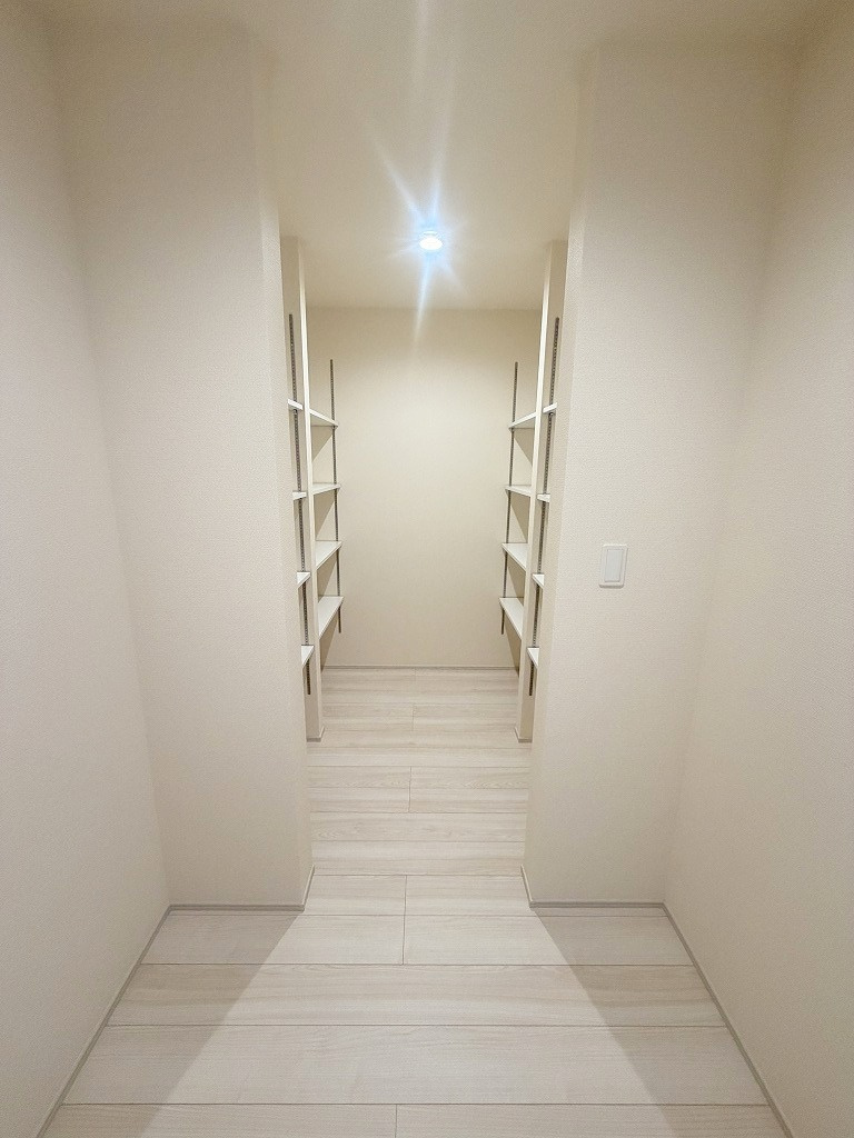 八潮市大字二丁目　新築戸建の収納|同施工会社の参考写真になります。