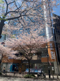 ami ami（アミアミ）【　店舗系おすすめ　】の画像