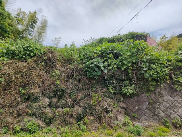 鹿児島県薩摩川内市 旅館のその他