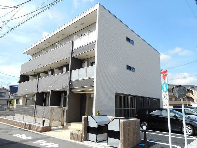 プラシード