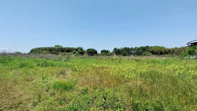 玉名市築地　畑③の外観