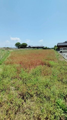 玉名市築地　畑③の外観