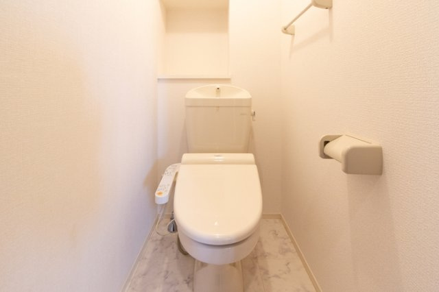 D-roomアネシスのトイレ