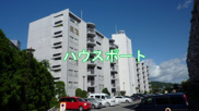 山科音羽マンションB棟の画像