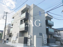 ＲＥＧＡＬＥＳＴ　ａｓｔｅｒＭＮの画像