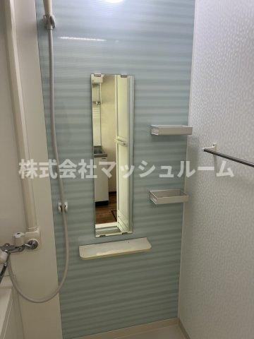 ハイツ城山A棟の洗面所