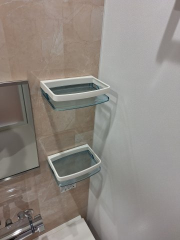 シュシュ・ドミールⅡのその他