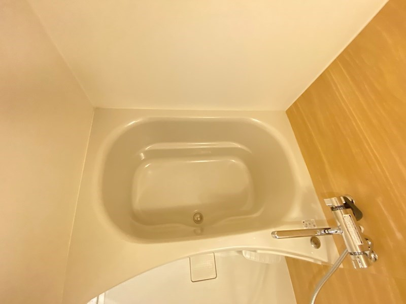BluRock青葉台の浴室