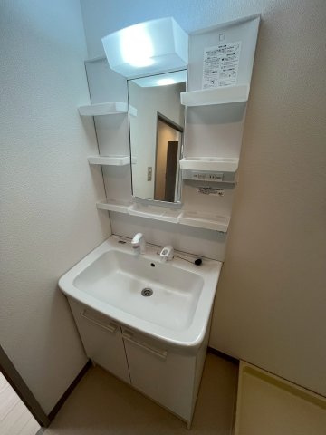 メゾンダーンジュの洗面所