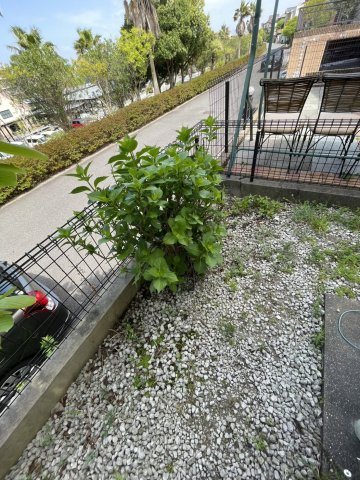 西の丘２丁目戸建て(ニシノオカ)のその他|入口付近にもスペースあり