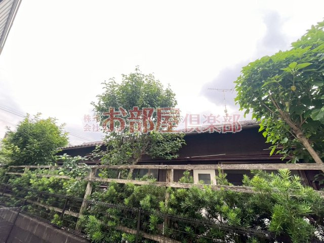 アステイオンの展望