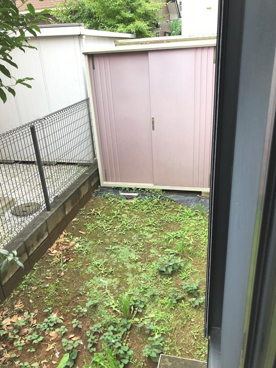美土里町戸建の庭