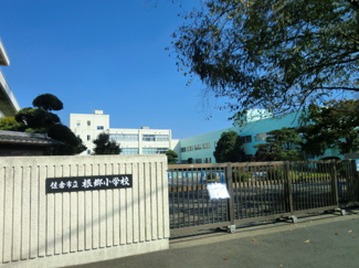 佐倉市立根郷小学校まで1200ｍ