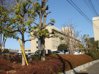 【周辺】 | 水戸済生会総合病院まで863ｍ