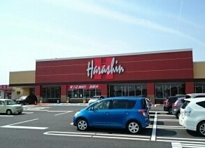 はまなすの周辺|原信 五十嵐東店まで590m