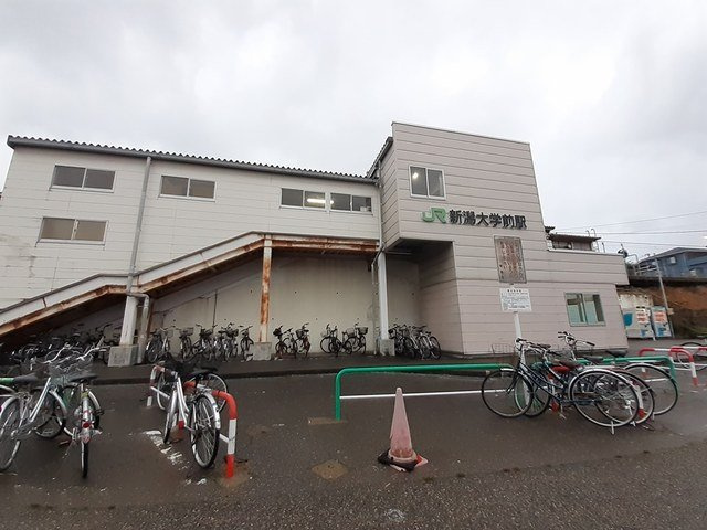 はまなすの周辺|新潟大学前駅まで1250m
