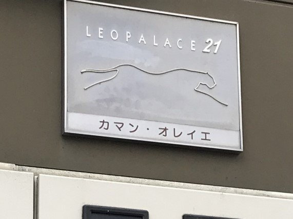 レオパレスカマン　オレイエのその他