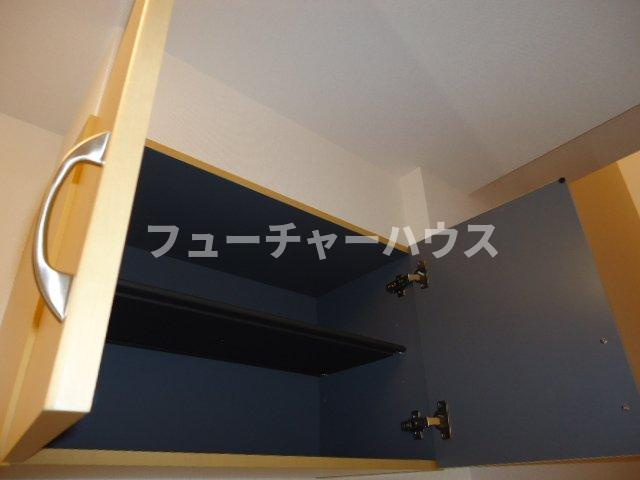 ラズベリーベラ（Ｒａｓｐｂｅｒｒｙ　Ｖｅｌａ）のその他|シューズボックス（上）