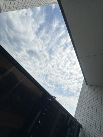 VegaLight別府の展望