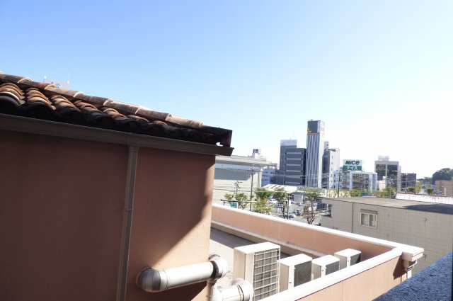 Ｓｕｎ・Ｃｅｄａｒの展望
