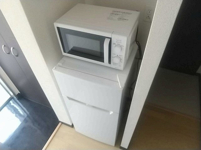レオネクストカイトネストⅡのその他