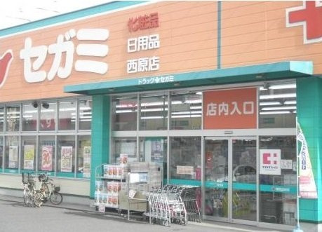 カノン・エスの周辺|ドラッグセガミまで750m
