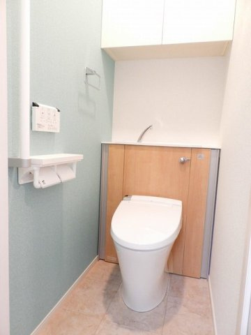 メインクーンのトイレ|トイレも気になるポイント