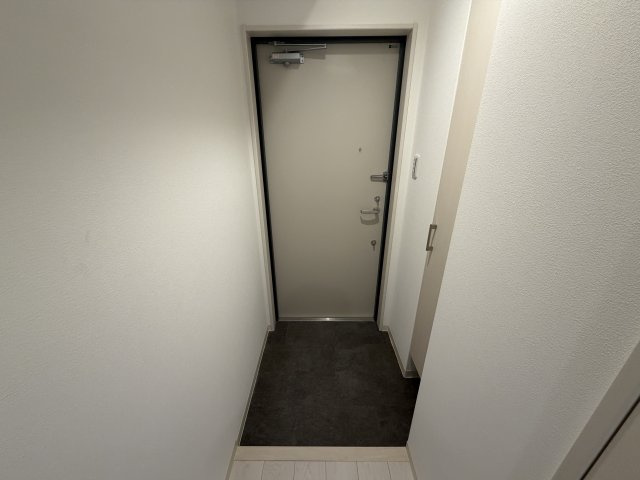 maison PREMIER Ⅶの玄関
