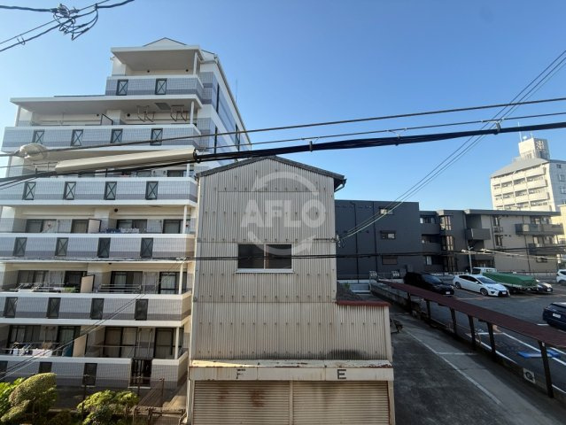 ハウス大幸の展望|ハウス大幸　展望