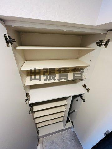 仲介手数料０円！M-Luxe丸の内の収納