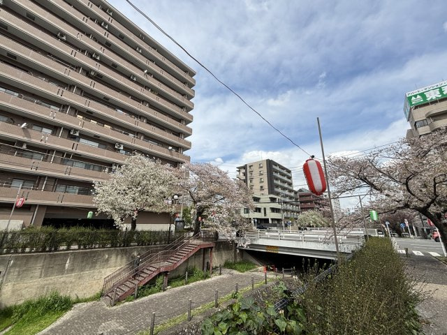 の-の画像
