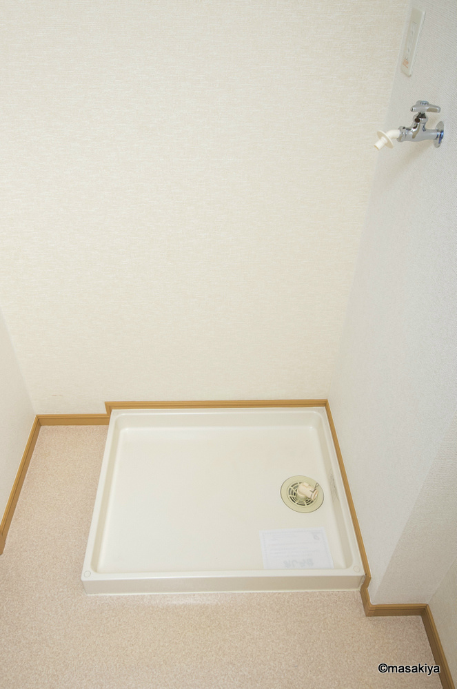 ヴィオラ・パルマータの洗面所|室内洗濯機置き場
