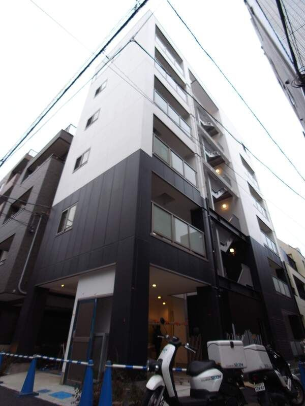Thalassicus（サラシクス）の外観