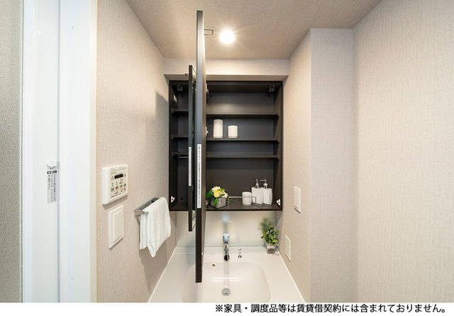 ルフォンプログレ千代田御茶ノ水のその他|※写真は同タイプ住戸です。