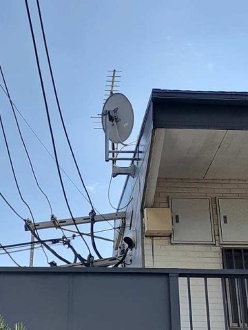 フォレスト中嶋のその他