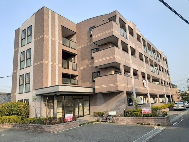 ブランドール板原