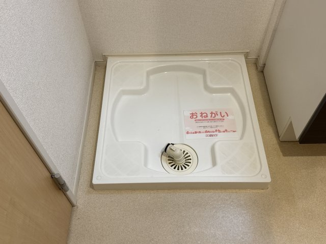 コレクト　ライルのその他