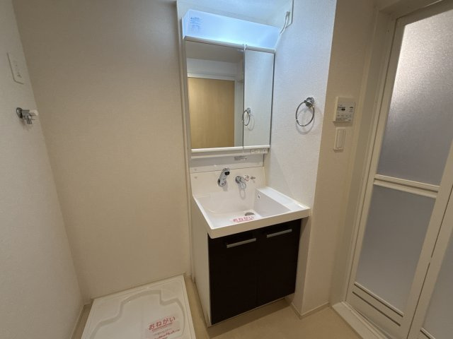 コレクト　ライルの洗面所