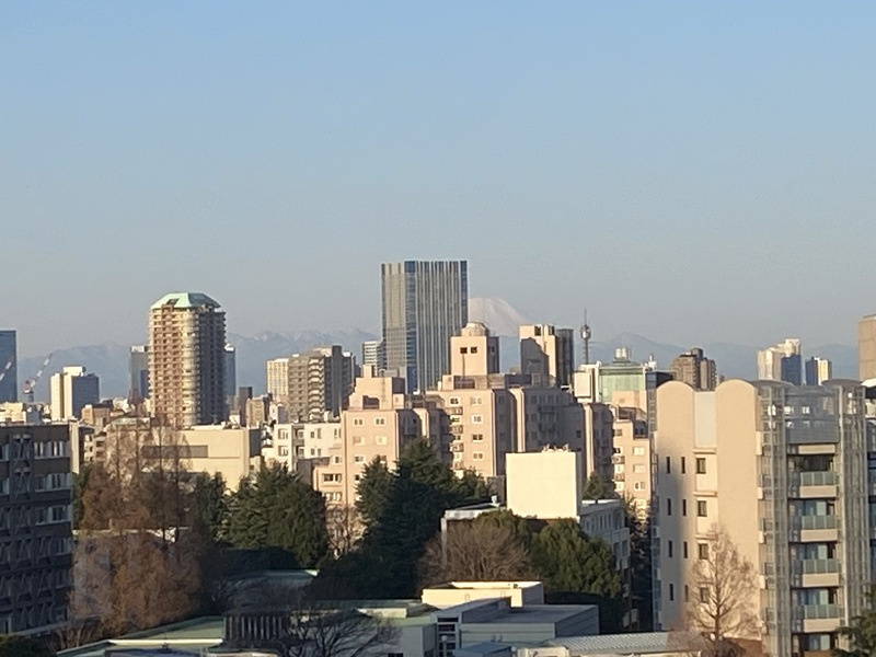 【展望】