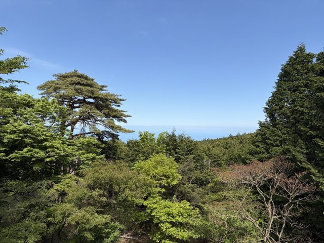天城高原別荘地　戸建の画像